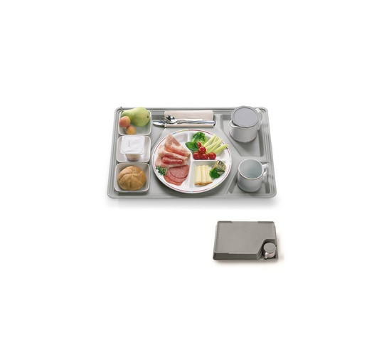 BANDEJA THERMOTRAY COLOR GRIS