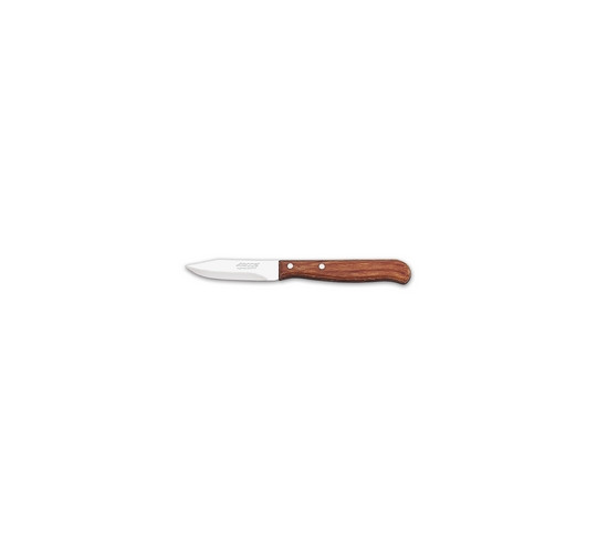 ECO PARING KNIFE