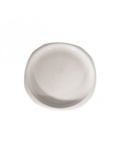 INDUCCION PLATO LLANO 23 cm