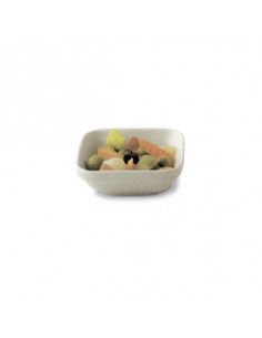 THERMOTRAY RECT. DISH 10 CM