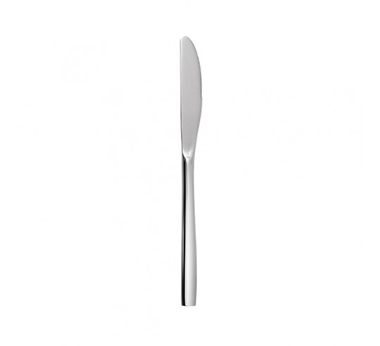 SINXELO SATIN TABLE KNIFE