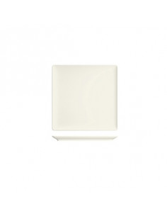 PURITY SQUARE PLATO LLANO...