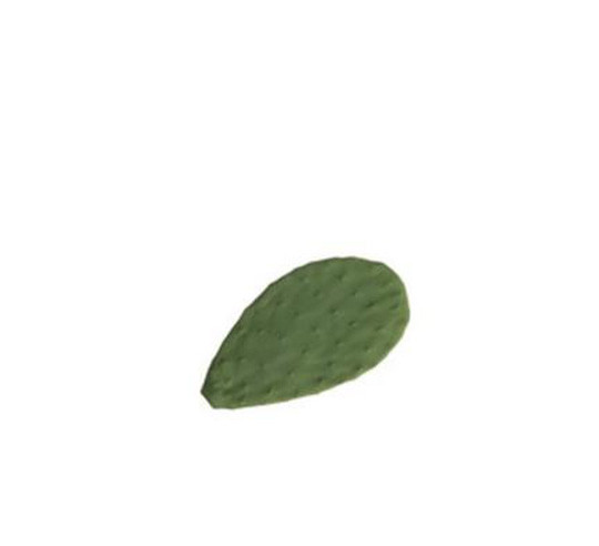 CACTUS PLATO 18X10 cm