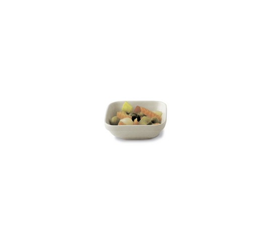 THERMOTRAY FUENTE 12X11 cm