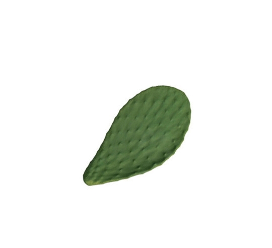 CACTUS 32X17