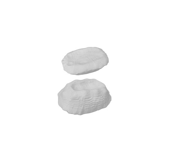 MISCELANEA BOL TORTUGA BLANCA 17X11 cm