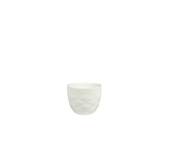 SCATTA BOL 7 cm h 5 cm