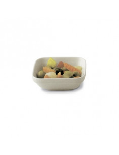 THERMOTRAY FUENTE 21X10 cm