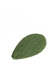 CACTUS PLATO 18X10 cm