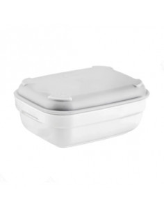 POLITRAY FUENTE RECT 12X9 cm