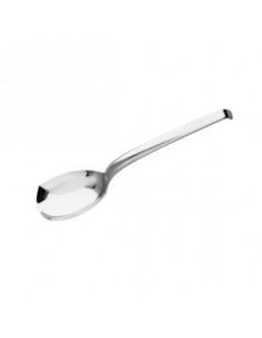 LIVING LEGUME SERVING SPOON...