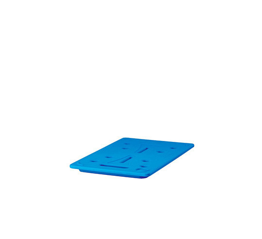 PLACA FRIA EUTECTICA GN 1/1