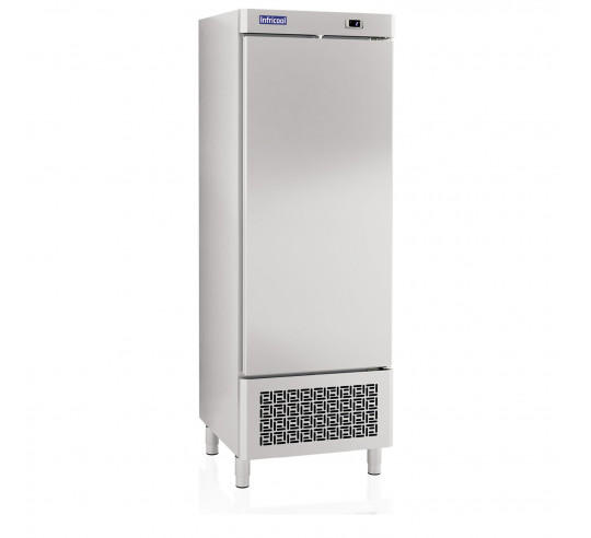 NEVERA 2 PUERTAS IAN502