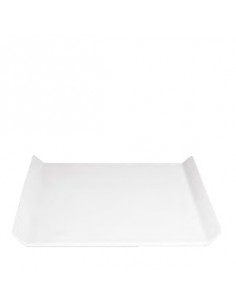 PLANNA FUENTE 50x20 cm h 2 cm