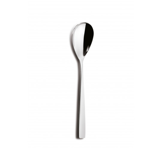 HOTEL SERVING SPOON