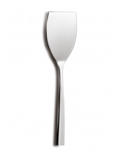 HOTEL CAKE SERVER