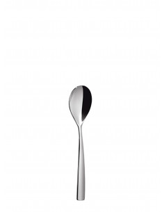 SINXELO SATIN TEASPOON