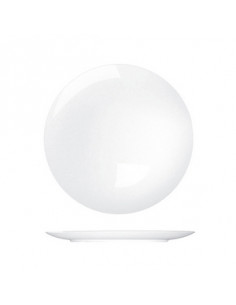 SATURNO COUPE PLATO LLANO...