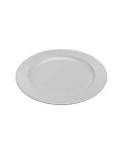 RAIO PLATO LLANO 24 cm