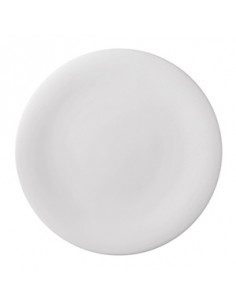 NEVE PLATO LLANO 28 cm