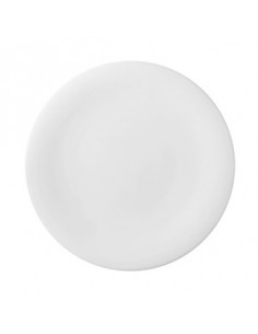NEVE PLATO LLANO 31 cm