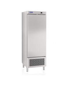 NEVERA 2 PUERTAS IAN502