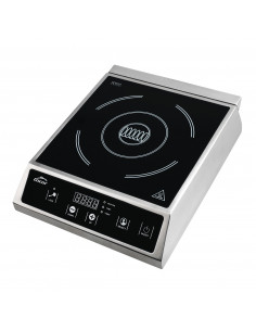 PLACA DE INDUCCION 2700 W