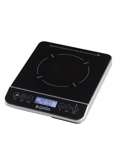 PLACA INDUCCION PEQUENA