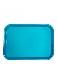 BANDEJA POLIPROPILENO AZUL...
