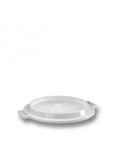 BRUTE CONTAINER LID ONLY...