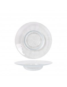 ASTER PLATO DEGUSTACION 20 cm