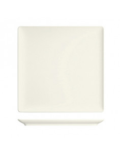 PURITY SQUARE PLATO LLANO...