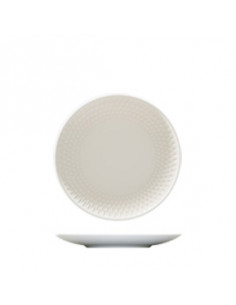 PURITY REFLECTIONS PLATO...