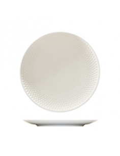 PURITY REFLECTIONS PLATO...