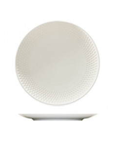 PURITY REFLECTIONS PLATO...