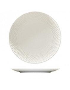 PURITY REFLECTIONS PLATO...