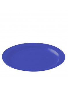 POLITRAY PLATO LLANO...