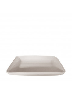 HOSPITAL FUENTE 22X14X3 cm