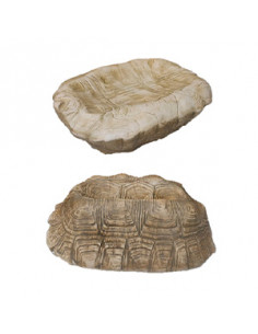 TURTLE DOUBLE SIDE DISH...