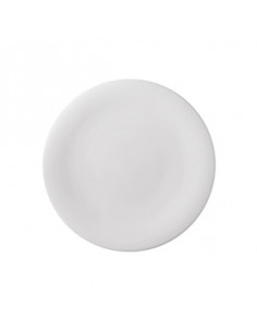NEVE PLATO LLANO 17 cm