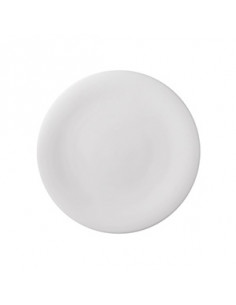 NEVE PLATO LLANO 18 cm