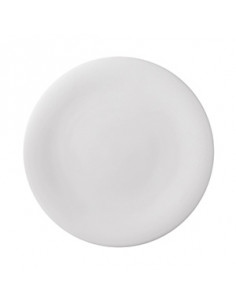 NEVE PLATO LLANO 25 cm