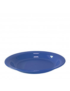 POLITRAY PLATO LLANO CADETE...