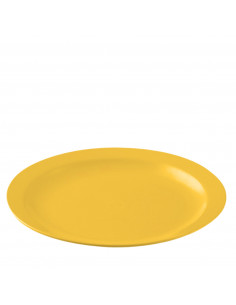 POLITRAY PLATO LLANO PC...