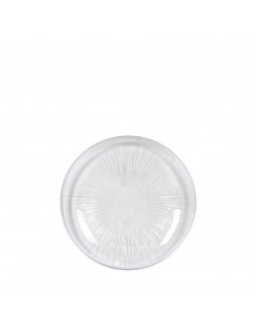 ASTER PLATO LLANO 13 cm