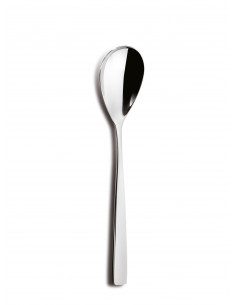 HOTEL SERVING SPOON