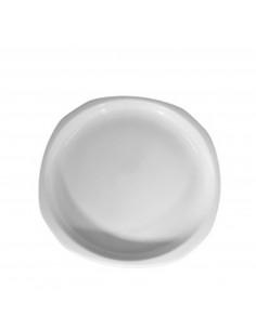 INDUCCION PLATO LLANO 23 cm