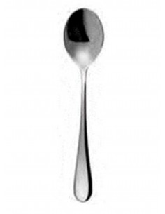 FOCUS LUNCH TEASPOON