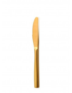 SINXELO GOLD DESSERT KNIFE