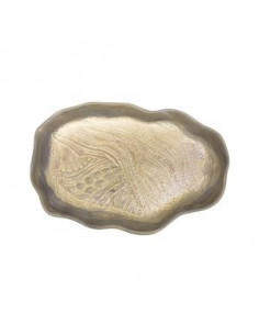 MAR ARENA FUENTE CARACOLA...